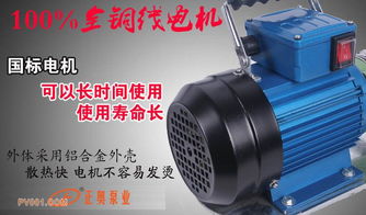 WCB型手提式齒輪油泵,鑄鐵齒輪油泵出廠直銷,信譽單位