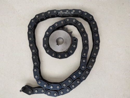 生產(chǎn)廠家供應(yīng)304不銹鋼鏈輪 工業(yè)傳動(dòng)雙排鏈輪齒輪鏈條銷(xiāo)售