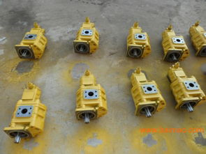 專業雙聯齒輪油泵選購指南 廠家、型號、質量與價格全解析